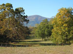 Photo of Thomas Milam's Land in Bedford County